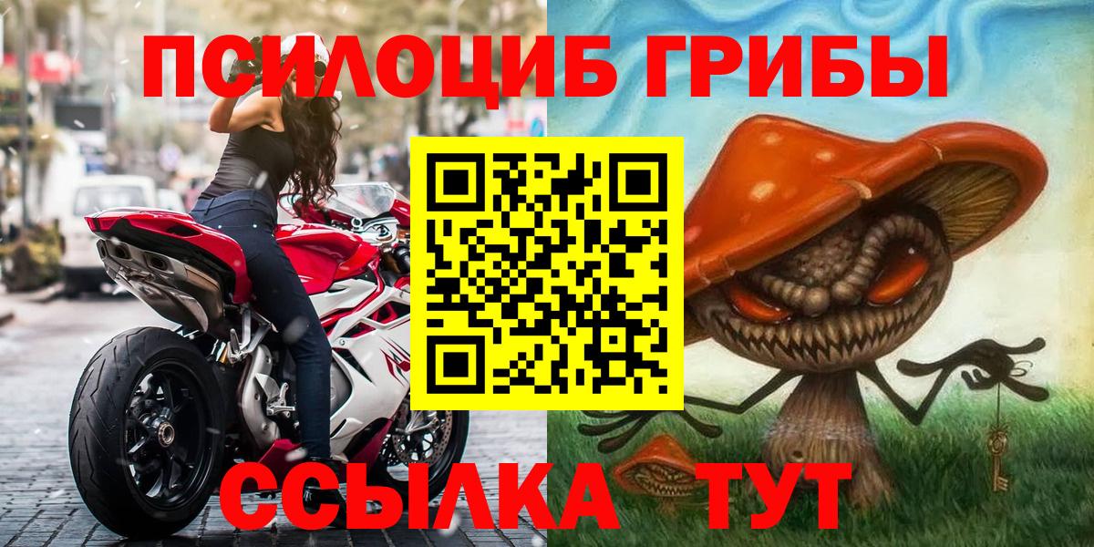 Псилоцибиновые грибы Psilocybine cubensis Отрадное